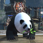 Панда - маунт тера онлайн
