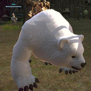 Белый медведь - тера онлайн